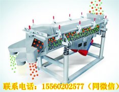 湖南王總需要的DZSF直線振動篩今天發貨！